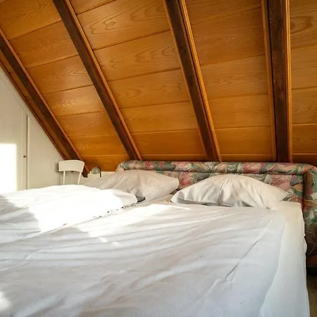 Am-hohen-ufer-reetdach-haus-happy-haus