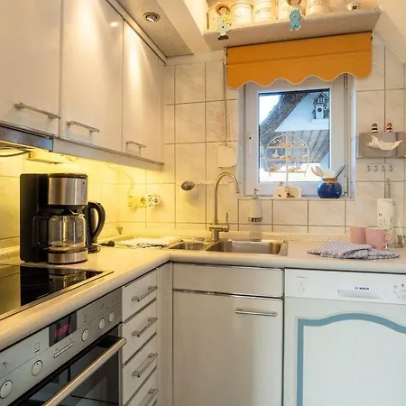 Am-hohen-ufer-reetdach-haus-happy-haus Feriehus